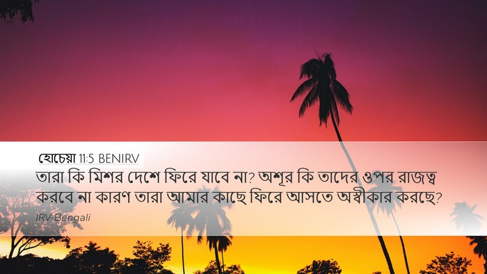 হোচেয়া 11:5 BENIRV Bible Verse Image
