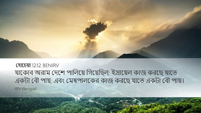 হোচেয়া 12:12 BENIRV Bible Verse Image