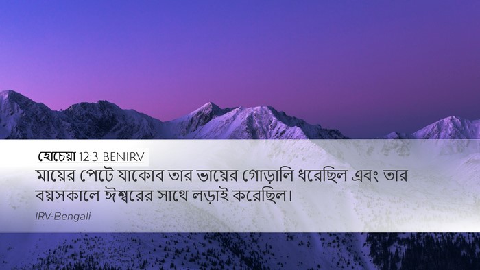 হোচেয়া 12:3 BENIRV Bible Verse Image