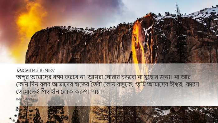 হোচেয়া 14:3 BENIRV Bible Verse Image
