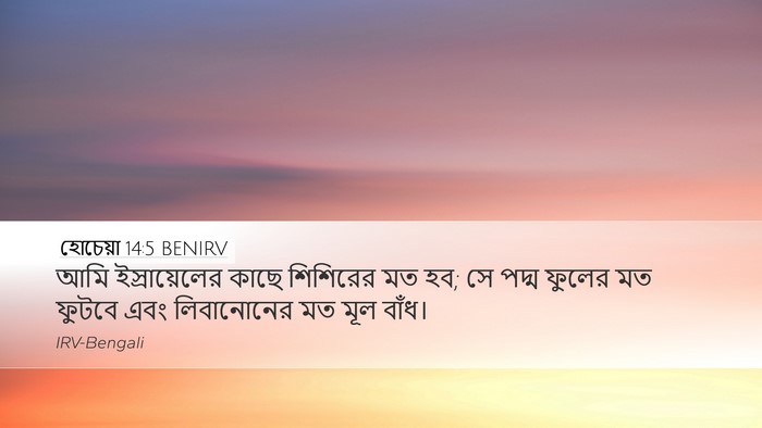 হোচেয়া 14:5 BENIRV Bible Verse Image