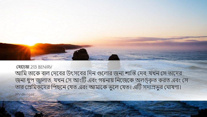 হোচেয়া 2:13 BENIRV Bible Verse Image
