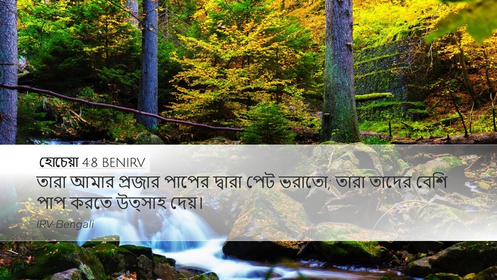 হোচেয়া 4:8 BENIRV Bible Verse Image