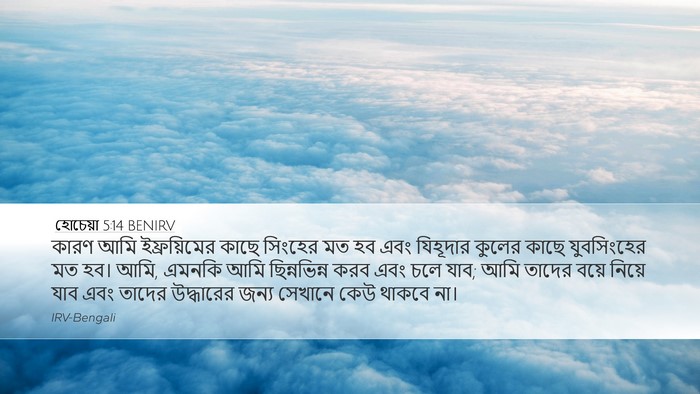হোচেয়া 5:14 BENIRV Bible Verse Image