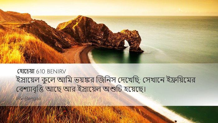 হোচেয়া 6:10 BENIRV Bible Verse Image