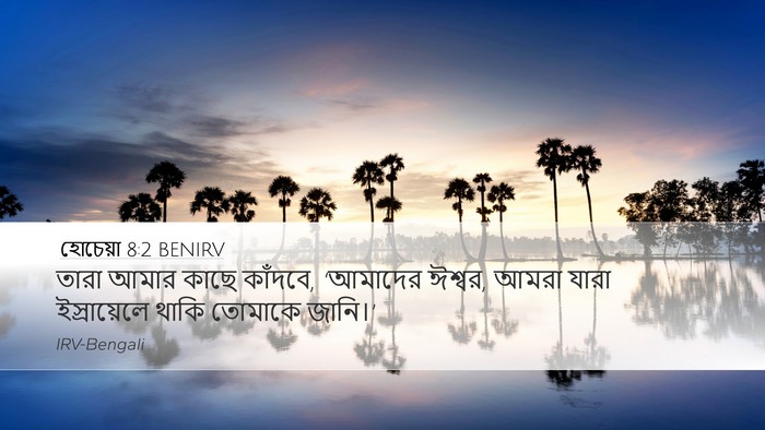 হোচেয়া 8:2 BENIRV Bible Verse Image