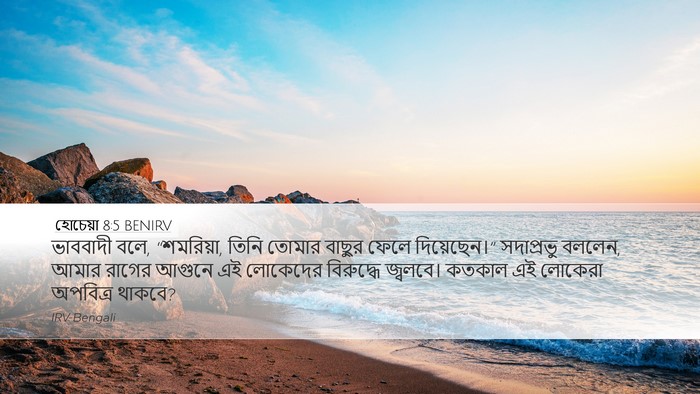 হোচেয়া 8:5 BENIRV Bible Verse Image