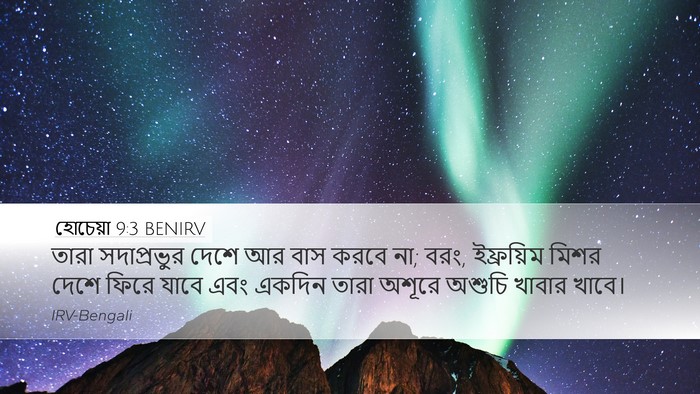 হোচেয়া 9:3 BENIRV Bible Verse Image