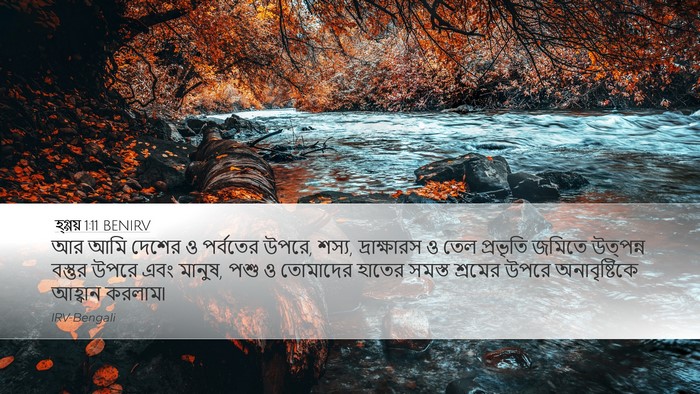 হ্গ্গয় 1:11 BENIRV Bible Verse Image