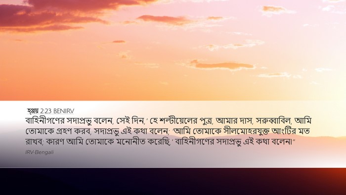 হ্গ্গয় 2:23 BENIRV Bible Verse Image