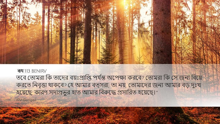 ৰূথ 1:13 BENIRV Bible Verse Image