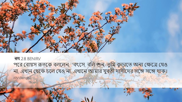 ৰূথ 2:8 BENIRV Bible Verse Image