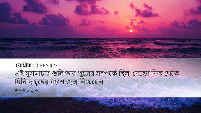 ৰোমীয়া 1:3 BENIRV Bible Verse Image