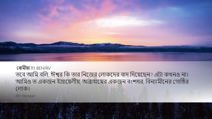 ৰোমীয়া 11:1 BENIRV Bible Verse Image
