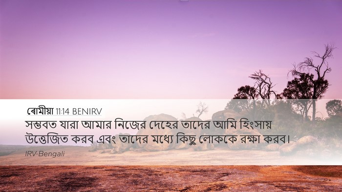ৰোমীয়া 11:14 BENIRV Bible Verse Image