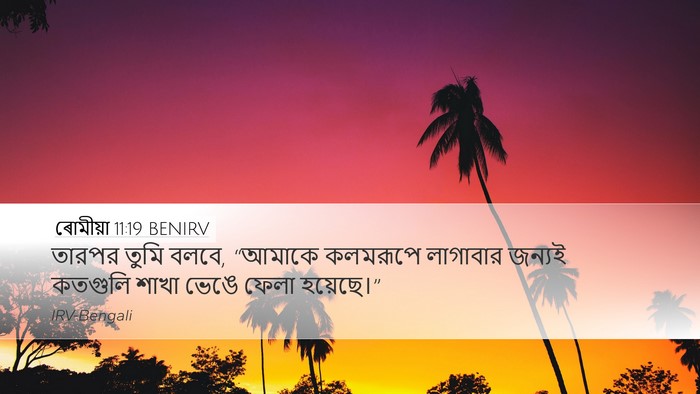 ৰোমীয়া 11:19 BENIRV Bible Verse Image