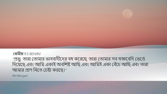 ৰোমীয়া 11:3 BENIRV Bible Verse Image