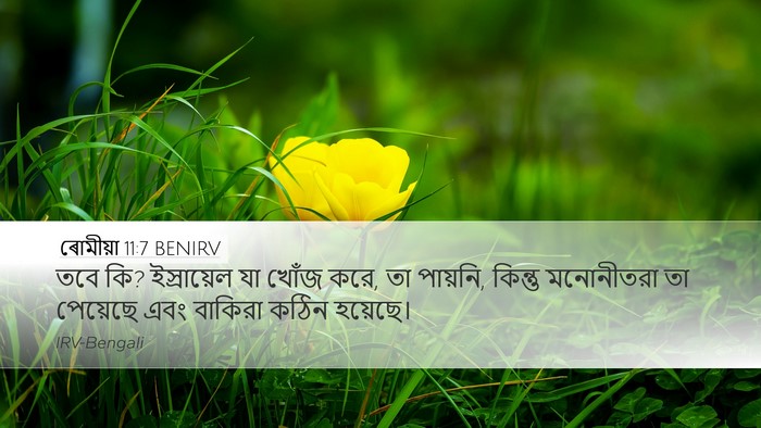 ৰোমীয়া 11:7 BENIRV Bible Verse Image