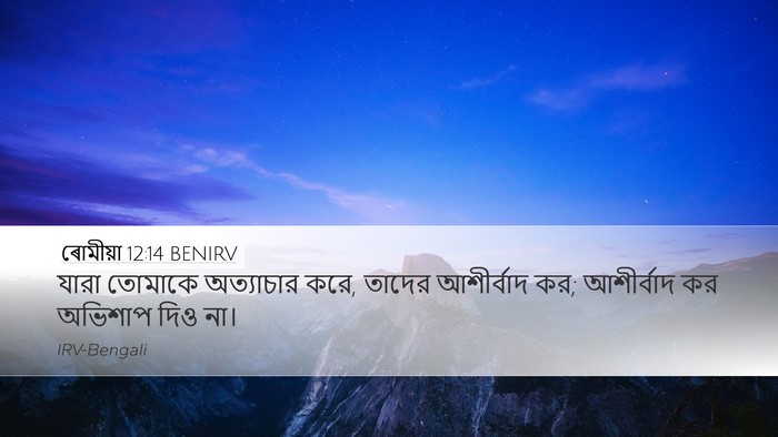 ৰোমীয়া 12:14 BENIRV Bible Verse Image