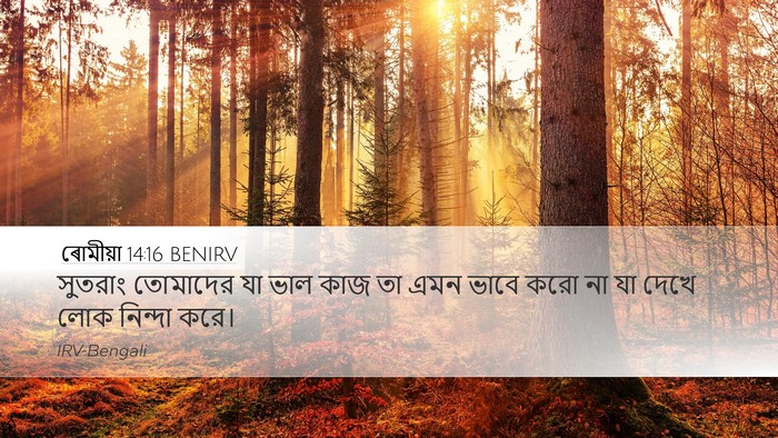 ৰোমীয়া 14:16 BENIRV Bible Verse Image