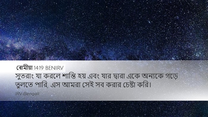 ৰোমীয়া 14:19 BENIRV Bible Verse Image