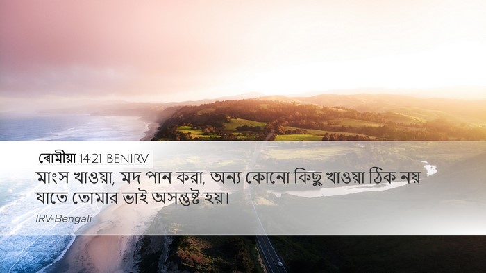 ৰোমীয়া 14:21 BENIRV Bible Verse Image