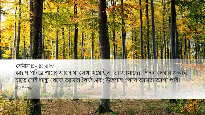 ৰোমীয়া 15:4 BENIRV Bible Verse Image