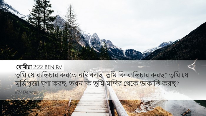 ৰোমীয়া 2:22 BENIRV Bible Verse Image