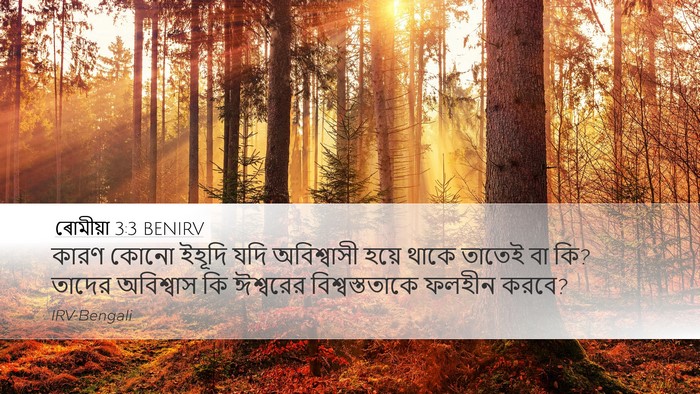 ৰোমীয়া 3:3 BENIRV Bible Verse Image