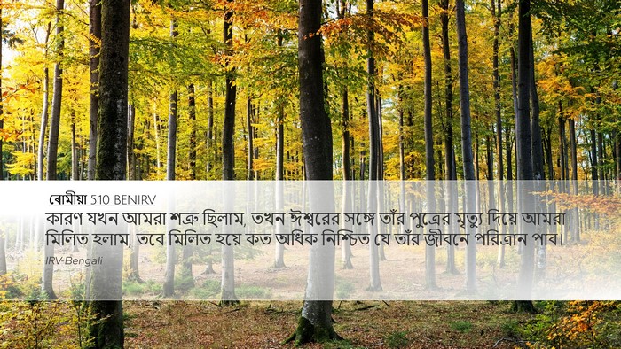 ৰোমীয়া 5:10 BENIRV Bible Verse Image