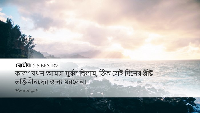 ৰোমীয়া 5:6 BENIRV Bible Verse Image