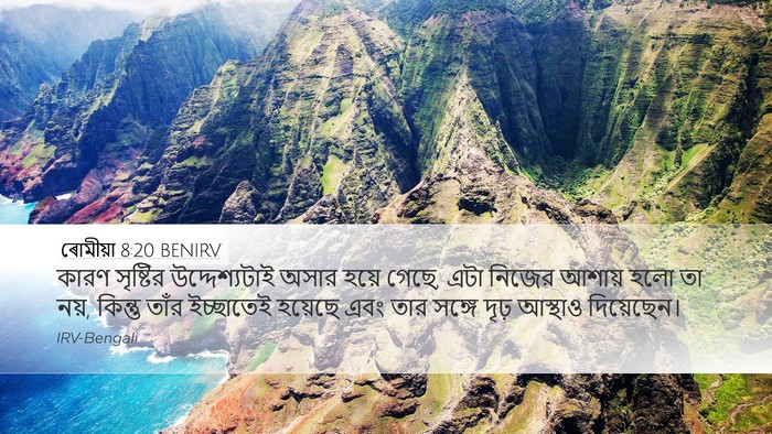 ৰোমীয়া 8:20 BENIRV Bible Verse Image