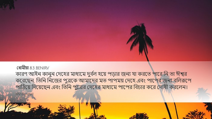 ৰোমীয়া 8:3 BENIRV Bible Verse Image