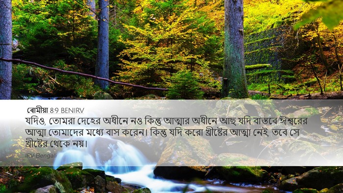 ৰোমীয়া 8:9 BENIRV Bible Verse Image