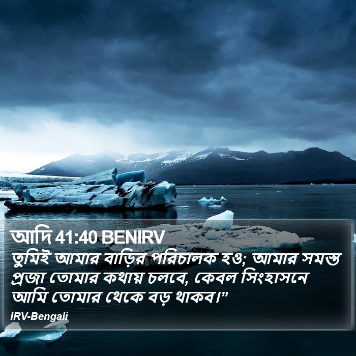 আদি 41:40 BENIRV - তুমিই আমার বাড়ির