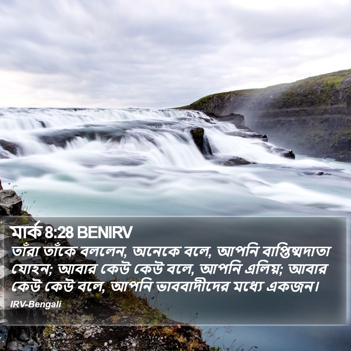 মার্ক 8:28 BENIRV - তাঁরা তাঁকে বললেন,