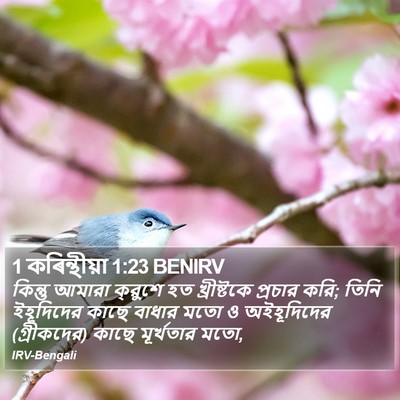 1 কৰিন্থীয়া 1:23 BENIRV Bible Verse Image