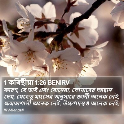1 কৰিন্থীয়া 1:26 BENIRV Bible Verse Image
