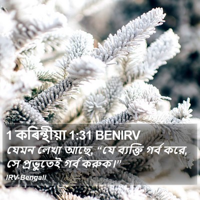 1 কৰিন্থীয়া 1:31 BENIRV Bible Verse Image
