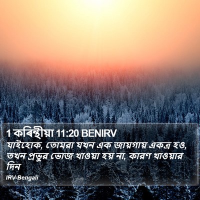 1 কৰিন্থীয়া 11:20 BENIRV Bible Verse Image