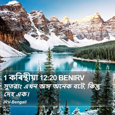 1 কৰিন্থীয়া 12:20 BENIRV Bible Verse Image
