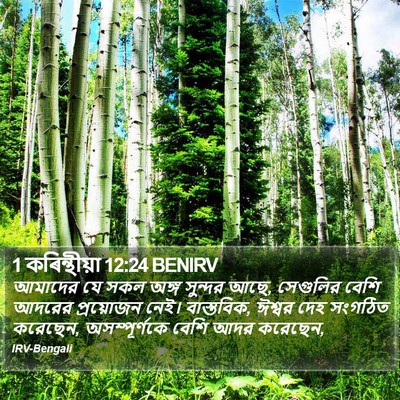 1 কৰিন্থীয়া 12:24 BENIRV Bible Verse Image