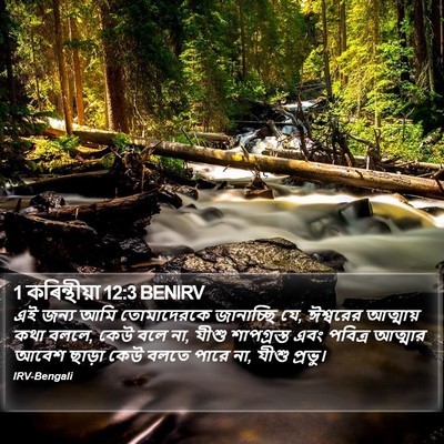 1 কৰিন্থীয়া 12:3 BENIRV Bible Verse Image
