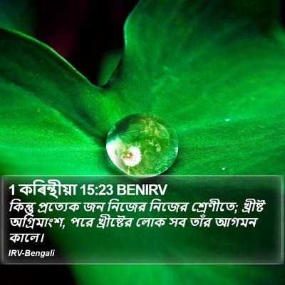 1 কৰিন্থীয়া 15:23 BENIRV Bible Verse Image