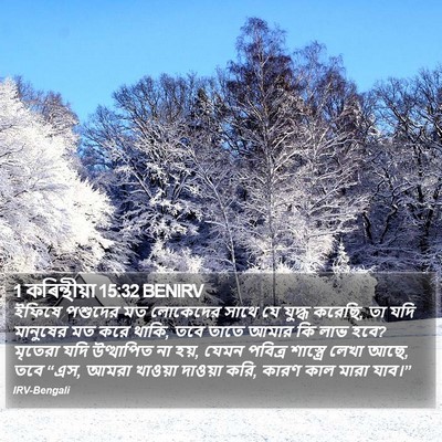 1 কৰিন্থীয়া 15:32 BENIRV Bible Verse Image