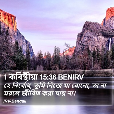 1 কৰিন্থীয়া 15:36 BENIRV Bible Verse Image