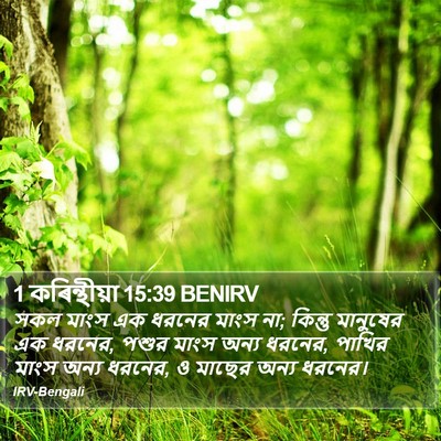 1 কৰিন্থীয়া 15:39 BENIRV Bible Verse Image