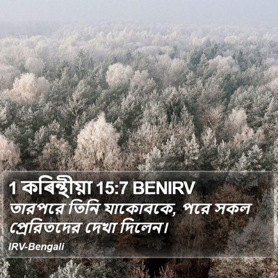 1 কৰিন্থীয়া 15:7 BENIRV Bible Verse Image