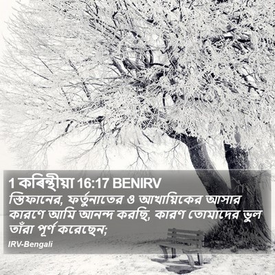 1 কৰিন্থীয়া 16:17 BENIRV Bible Verse Image