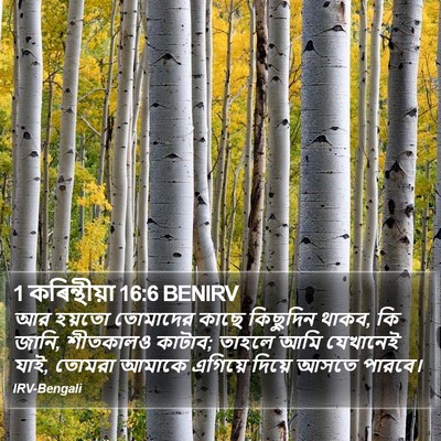 1 কৰিন্থীয়া 16:6 BENIRV Bible Verse Image